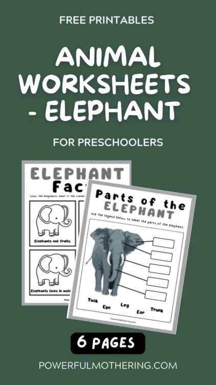 animal worksheets for kids - elephant