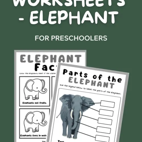 animal worksheets for kids - elephant