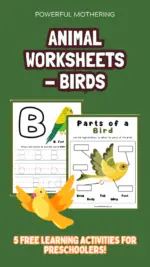 Animal Worksheets – Birds