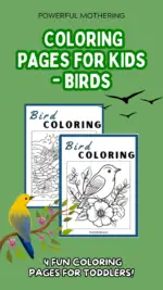 Coloring Printables for Kids – Birds