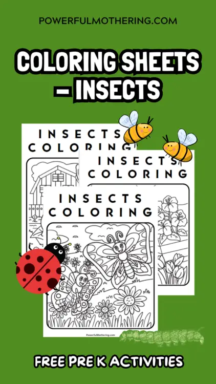 Coloring pages - insects 