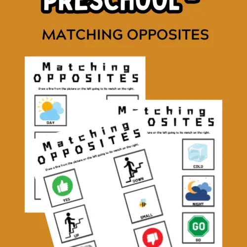 Worksheets for Preschool - Matching Opposites